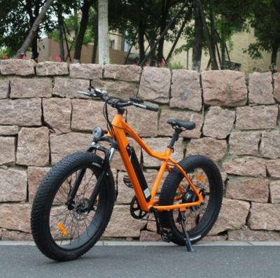 China Aluminum alloy e-bike 48V 750W adult electric bicycle mountain with CE certificate for sale