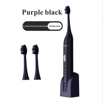 China 5-Function Modes Wholesale USB Rechargeable Sonic Electric Toothbrush With 8 Brush Head for sale