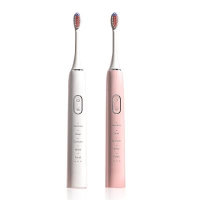 China Rechargeable SG986 BSCI Approved IPX7 Waterproof Electric Sonic Toothbrush with Replacement Toothbrush Heads for sale