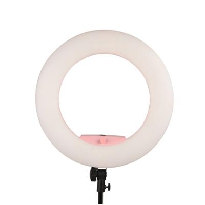 China Two Color Stepless Dimming Bicolor 48W 480 LED Ring Light Shine Ring Light Beauty Salon Makeup Ring Lamp FS-480II LED for sale