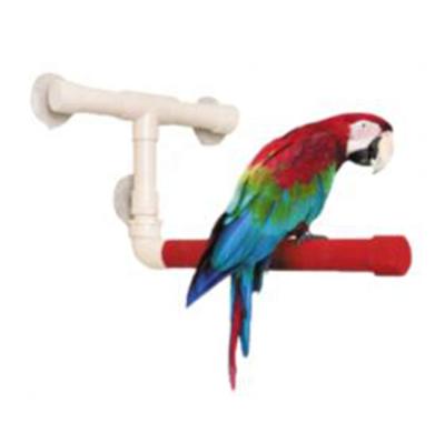 China Viable Bird Standing Shower Perches With Quartz Sand Stick For Parrot Paws Grinding for sale