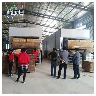 China  Industrial Wood Veneer Dryer For Heavy Duty Production Requirements for sale