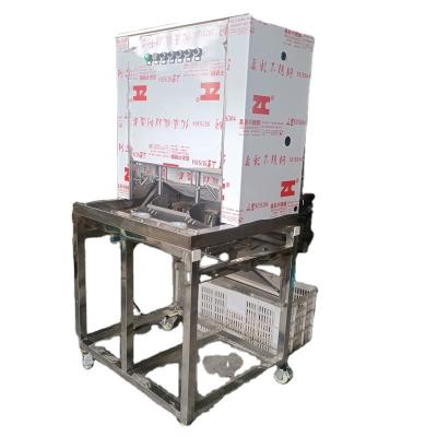 China Customizable Capacity Automatic Peeling Machine Top Choice for Fruit Processing Plant for sale