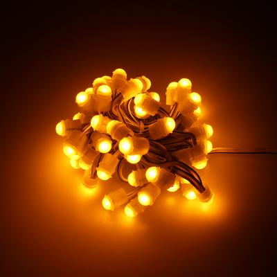 China Theme park led large festival lights Christmas light yellow color Halloween stringm fairy lights for sale