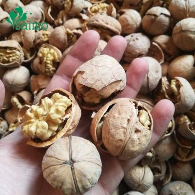 China Supplier Dry Dried Walnuts Available at Good Prices Cheap Wholesale-PriceThin Raw Walnut Skin With Shell Chinese Walnut for sale