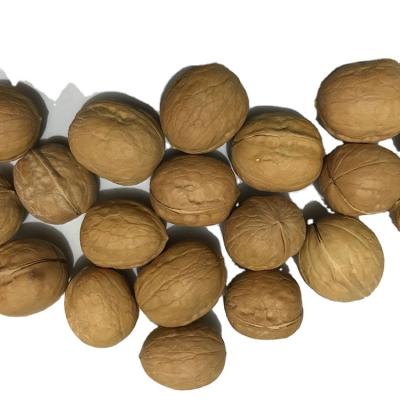 China Wholesale Natural Thin High Quality Walnuts Dry Shell China Supplier Cheap Saimo Bulk Lowest Price Walnuts for sale