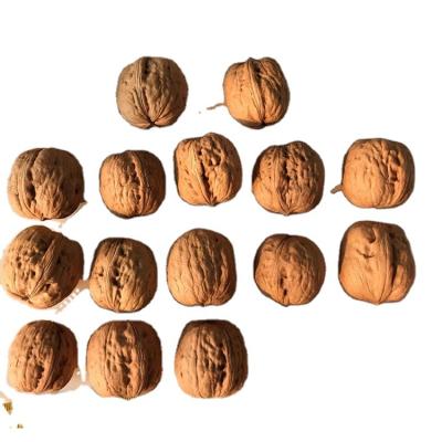 China China Dried Walnuts in Sale Price Excellent Quality Cheap Thin-Skin Raw Walnuts with Shell Bulk Walnuts Wholesale USA for sale