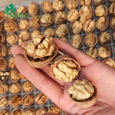 China Ceviz Walnuts Xinjiang Wallnuts China Xingfu Top Grade Dried Shelled Walnuts for sale