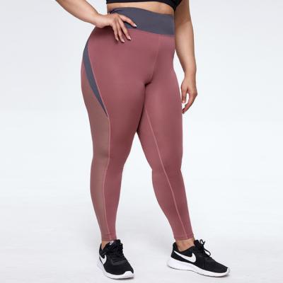 China Hot Tiktok Breathable Women Yoga Set Fitness Clothing Plus Size Color Panel XL-6XL Leggings Plus Size Yoga Pants for sale