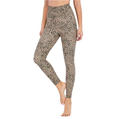 China Digital Print Compression Tights Breathable Custom Gym Pants High-waist Leopard Leggings For Women for sale