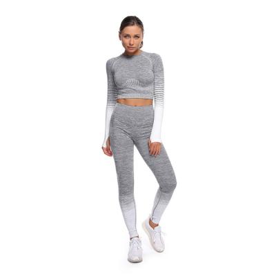 China New Arrival Long Sleeve Breathable Striped Hip-lifting Elastic Sports Knitted Seamless Ribbed Yoga Sets Fitness Women for sale