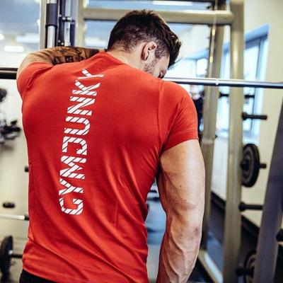 China Anti-Wrinkle Dry Fit Custom Muscle Fit Sports Gym T Shirt Wholesale Men's Fitness Workout T-shirt for sale