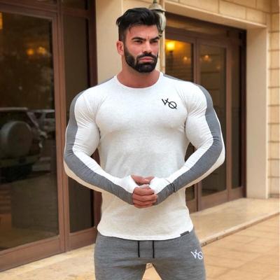 China Long Sleeve Cotton Anti-Wrinkle Sale Fitness Muscle Fit Gym T-shirt Custom Printed Mens T-shirt Hot Sport T-shirt for sale