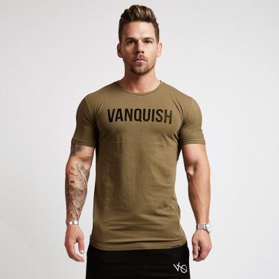 China Custom Anti-Wrinkle Mens Gym Wear Bodybuilding Muscle Fit T Shirt For Gym for sale