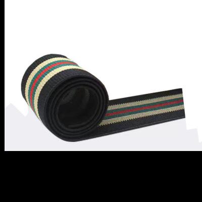 China Elastic 2022 Hot Sale Fashion Customized Colorful Striped Elastic Webbing in Garment Accessories for sale