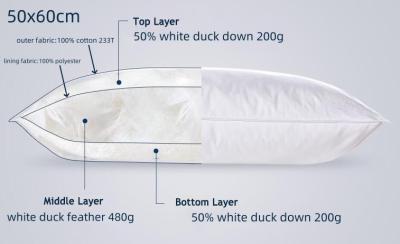 China Zweifach genäht, 50% nach unten, Kissen nach unten und Federkissen, 100% Baumwolle, weich, mittel, fest zu verkaufen