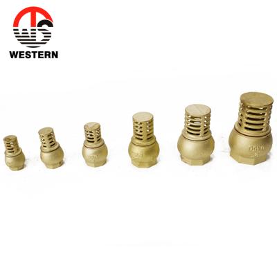 China ISO228 PN20 general standard check valve and brass vertical spring check valve for sale