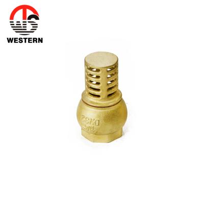 China General brass check valve PN20 and vertical spring check valve for sale