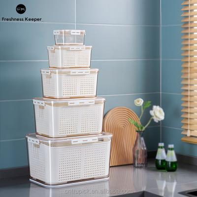 China High Quality Freshness Preservation Fruit Storage Box Organizer Fridge Vegetables Fresh Containers Refrigerator Storage Boxes&bins for sale