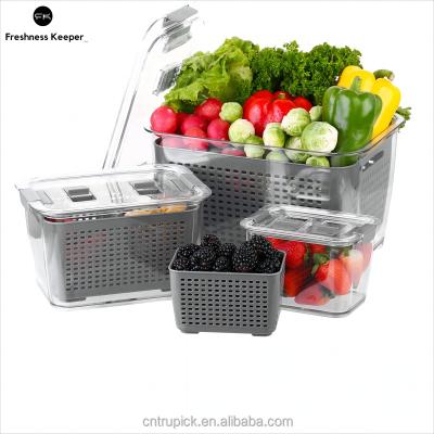 China Vegetable Freshness Keeping Containers For Fridge Product Saver Container Fruit Storage Organizer 3 Pack BPA Free Fresh Containers Fridge for sale