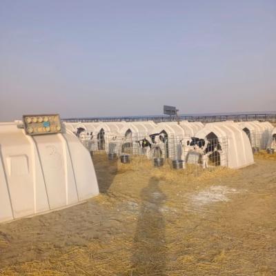 China Polyethylene Dairy Calf Hutches Suitable for Calves of All Ages and Sizes 220*145*145cm for sale