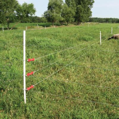 China Comprimento animal de Posts 1040mm da cerca da trança da proteção do jardim da barreira à venda