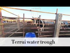 Temperature Control 15-40\u2103 Livestock Auto Waterer For Cattle Horse and Sheep