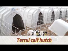 Polyethylene Dairy Calf Hutches Suitable for Calves of All Ages and Sizes