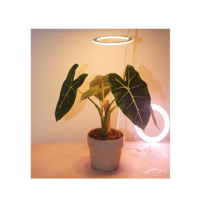 China New Design Professional Plant Growth Light Nursery Grow Light Led Grow Lights For Indoor Plants for sale