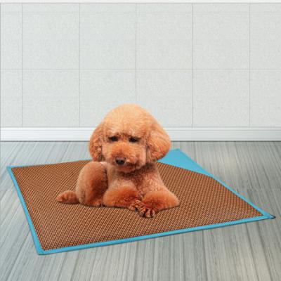 China Cooling Summer Moisture-proof And Non-slip Pet Sleeping Mat Play Mat Dog Cat Cat Cooling Pad for sale