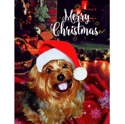 China China Hot Selling Printing Luxury Greeting Card Merry Christmas Gift Certificate Postcard for sale