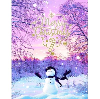 China Creative China Custom Design Merry Christmas Greeting Card Holiday Christmas Gift Certificates for sale