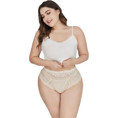 China Hot Selling Breathable Wholesale Lace Seamless Sexy Plus Size Panties For Women for sale