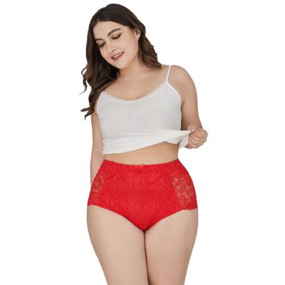 China Hot Selling Breathable Women Lace Up Sexy Plus Size Clear Wholesale Panties for sale