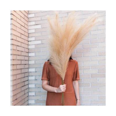 China Wholesale Touch Natural Amazon Hot Sale Artificial Pampas Grass With Stems Fluffy Large Reed Plumes For Home Wedding Decoration Faux for sale