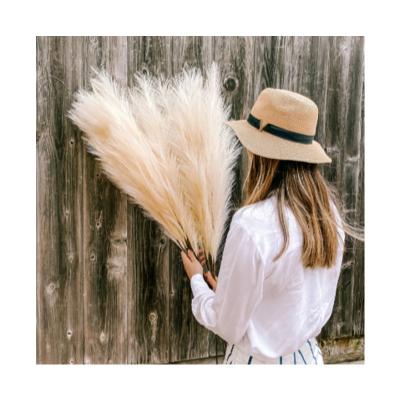 China Artificial Natural Touch Pampas Grass Vivid Feather Flower Artificial Reed For Wedding And Home Decoration Flowers for sale