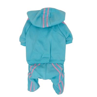 China Sustainable Baby Blue Mask Dog Sports Tracksuit for sale