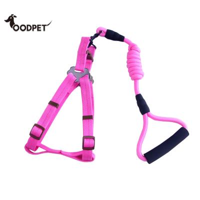 China Large Padded Dog Harness with Soft Handle Rope Leash for sale