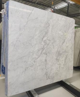 China Architect Modern Design Tile Floor Rio White Marble Slab Wall Natural White Marble Table Tops for sale