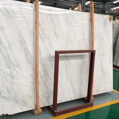 China Orient Modern White Marble Slab Chinese White Marble Tile for sale