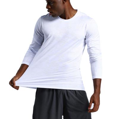 China Breathable Mens Fitness T Shirts Shirts Manufacture Sport Wear Long Sleeves T Shirts Compression Shirts For Men for sale