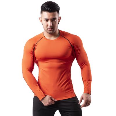 China Custom Anti-Wrinkle Muscle Fit Sports Gym T-shirt Mens Fitness Workout Shirts For Men Long Sleeve for sale