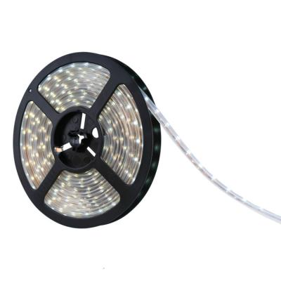 China Office FEICAN 5050 SMD LED STRIP Christmas Color 2812b Decorative Lighting Indoor Outdoor Waterproof Magic Strip for sale