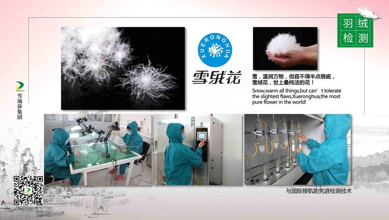 Verified China supplier - Baoding Xueruisha Feather And Down Products Co., Ltd.