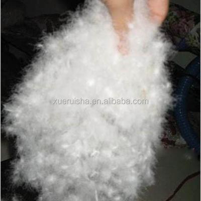 China Water Proof Power 90% Fill Power 90% White Feather And Goose Down Duck Down Treated Material for sale