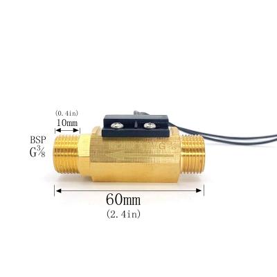 China China Manufacturer Brass Material Bsp 1/4 250V 70W Water Flow Switch Bitron Sensor For Water Heater For Sale SK-2020-CL for sale