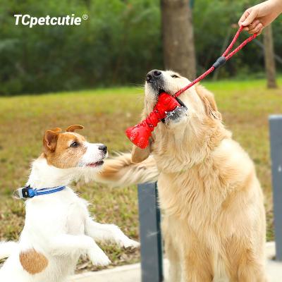 China 2022 New Stocked Type Dumbbell Chew Toys Indestructible Dog Teeth Chew Rubber Dog Interactive Toy for sale