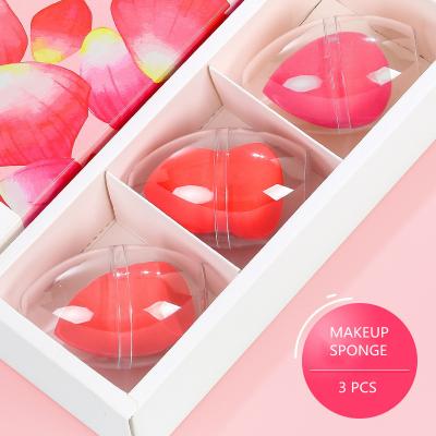 China Beauty 3pk Soft Eco-friendly Makeup Sponge Set Abundance Makeup Puff 3pc With Make Up Sponge Case for sale