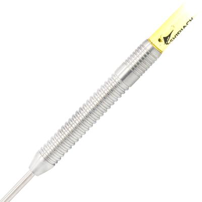 China 22g Tungsten Top with Steel Tip Tungsten Darts for sale