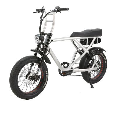 China Aluminum Alloy China Popular Snow Customized Fat Tire 250W 500w Fat Tire ebike Electric Bicycle for sale